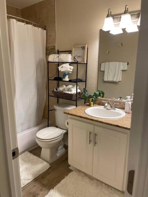 Beautiful/Spacious 2 Bedroom Houston Near Galleria Zewnętrze zdjęcie