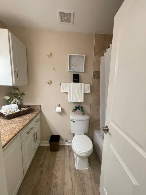 Beautiful/Spacious 2 Bedroom Houston Near Galleria Zewnętrze zdjęcie