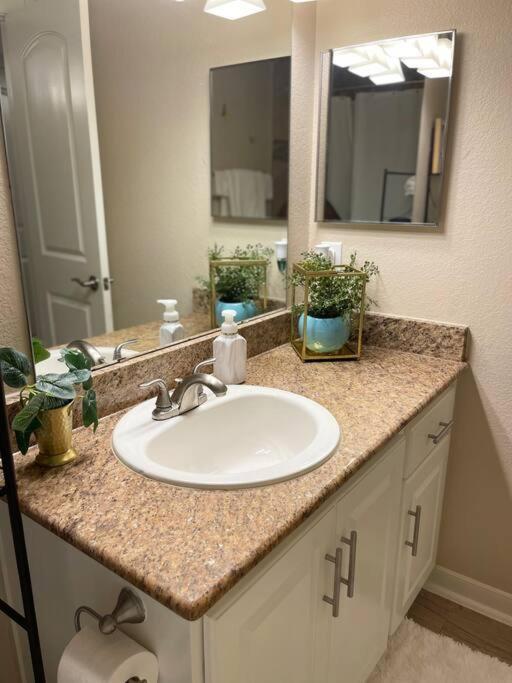 Beautiful/Spacious 2 Bedroom Houston Near Galleria Zewnętrze zdjęcie